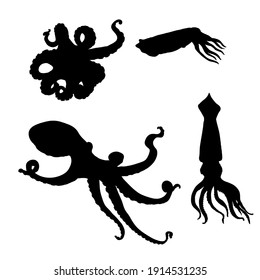 Vektorset von Silhouette Cephalopod Illustrationen. Tintenfisch, Tintenfisch und Kalmare.