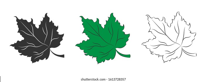 Vector set of silhouette contour and the green leaf of a plant isolated on a white background for theme design. Flat style.