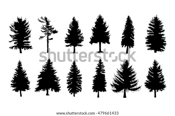 vector set silhouette different canadian pine stock vector royalty free 479661433