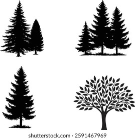 Vector set silhouette of different trees. Conifer tree silhouettes. Bundle of trees.