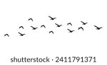 Vector Set Silhouette of a flock of flying birds