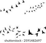 Vector Set Silhouette of a flock of flying birds.