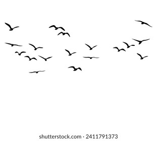 Vector Set Silhouette of a flock of flying birds