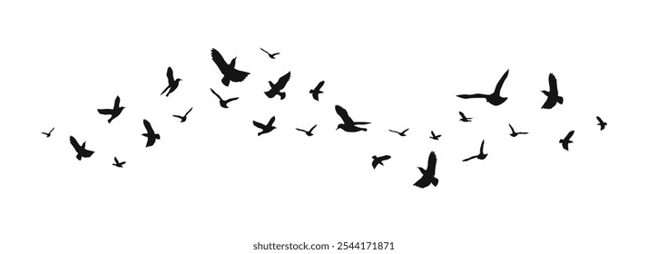 Vector Set Silhouette of a flock of flying birds