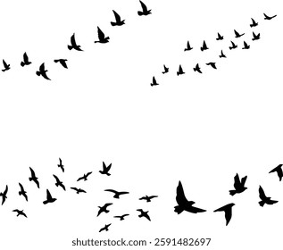 Vector Set Silhouette of a flock of flying birds.