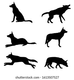 Vector Set of Silhouette of German Shepherd Dog