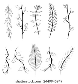 Vector set of silhouette illustrations of plants, trees, leaves,  branch, palm,  and stem