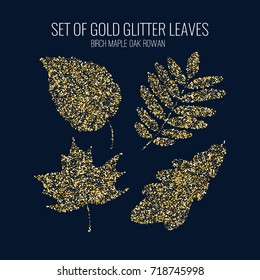 Vector set of silhouette leaves of oak, ash, birch and maple of gold glitter on a dark background