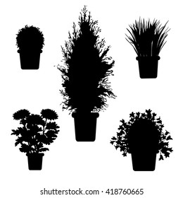 Vector set of silhouette plants and flowers in pot. Black and white illustration of plants