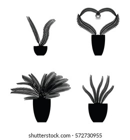 Vector set of silhouette plants in pot. Black and white illustration of plants