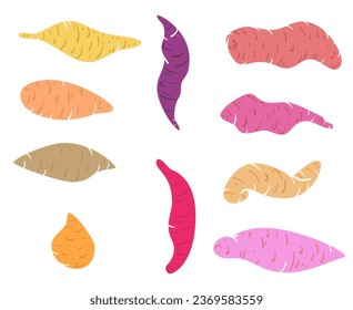Vector set silhouette sweet potato different form in cartoon flat style. Collection design various element for banner, icon, branding. Cute simple concept art. Health food or farm plant illustration.