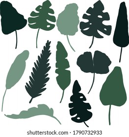 Vector set silhouette tropical colorful green monstera, palm leaves on white background