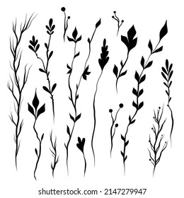 Vector set of silhouette of twigs and stems with foliage isolated from background. Nature black clipart collection for stickers and design elements. Kit with hand drawn wild herbs. 