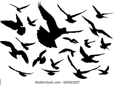 Vector set of silhouettes of 20 flying birds