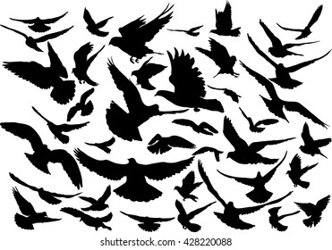Vector set of silhouettes of 40 flying birds