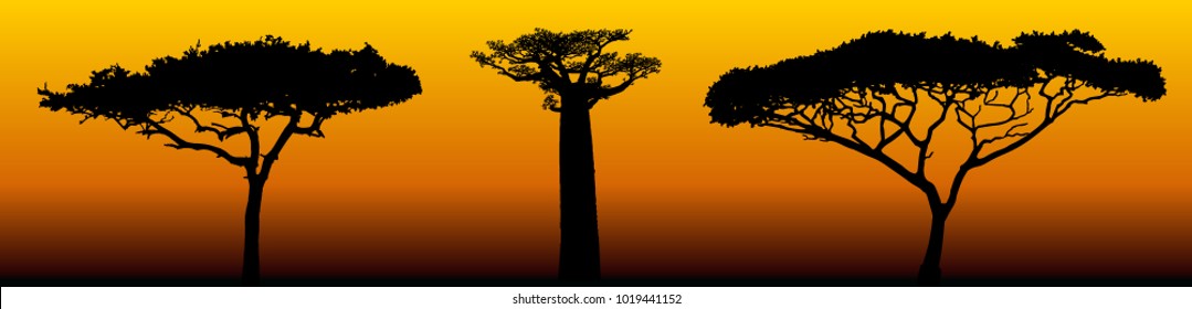 Vector set of silhouettes of african trees. Baobab, acacia trees. For printing, logo design or digital art.