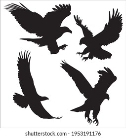 Vector set of silhouettes of attaching eagle 4 pieces