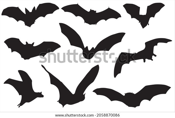 Vector Set Silhouettes Bats Shadows Flying Stock Vector (Royalty Free ...