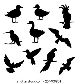 Vector set of silhouettes of birds.