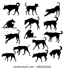 Vector set of silhouettes different black dogs isolated on white background. Collection of black dogs icon