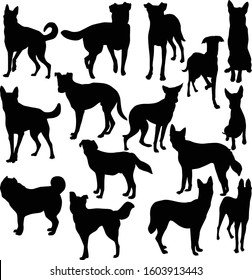 Vector set of silhouettes of dogs of different breeds. Black icons of dogs in different poses