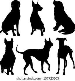 Vector set of silhouettes of dogs pinscher, ridgeback hound, pointer, Newfoundland, Dalmatians breed in various poses