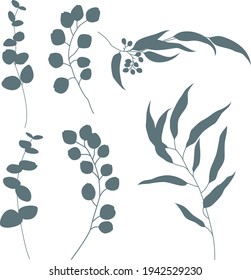 Vector set: silhouettes of eucalyptus branches. Dark gray , minimalism, flat design. Isolated on white elements for card, invitation, illustration about nature , medicine.