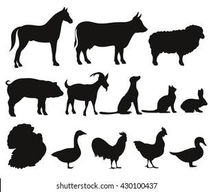 Vector set of silhouettes of farm animals isolated on white background. Livestock and poultry.