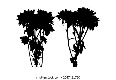 Vector set of silhouettes of flowers. Illustration with a bouquet of chrysanthemums in black. Abstract image of an isolated plant on a white background