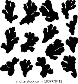 Vector set of silhouettes of ginger of different shapes Isolated on white background. Ginger icons black