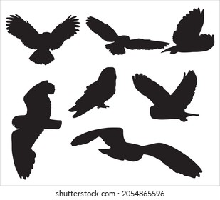 Vector set of silhouettes of owls. Flying and sitting nocturnal birds. Rodent Hunter Shadows
