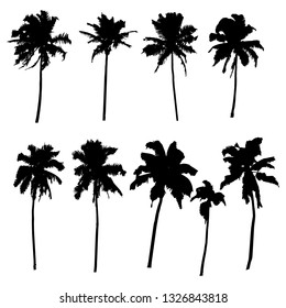 Vector set of silhouettes of palm trees of different shapes isolated on white background for your design.