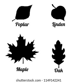 Vector set  silhouettes of tree leaves with names of trees isolated on white background: linden,  oak, maple, and poplar.
