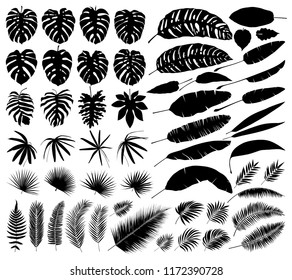 Vector set of silhouettes of tropical leaves, botanical isolated elements