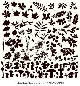 Vector set of silhouettes of various plants on a white background