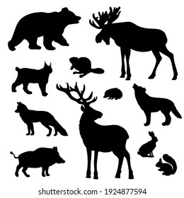 Vector set of silhouettes of wild forest animals
