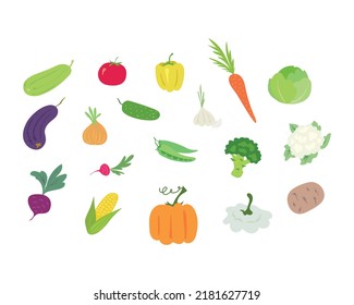 Vector set of simple colored vegetables: zucchini, eggplant, beetroot, tomato, onion, radish, corn, pepper, cucumber, pea, pumpkin, garlic, carrot, broccoli, squash, cabbage, cauliflower, potato