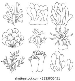 Vector set of simple contour corals isolated on white background. Doodle style corals