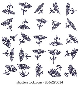 vector set of simple daisy flowers in different positions in manual drawing style