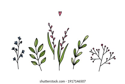 Vector set of simple doodle twigs. Botanical doodle illustrations. Collection on modern spring drawings.