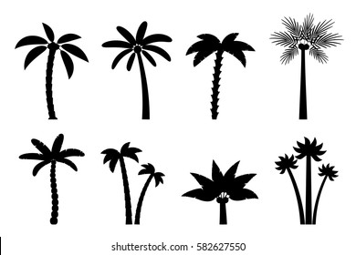 Vector set of simple palm trees. Flat cartoon black silhouette of palms on white background.