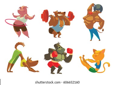 Vector set of six cartoon images of funny animals in the gym: pig, bear, bull, dog, gorilla, cat doing various exercises on a white background. Sports, healthy lifestyle, doing workout.