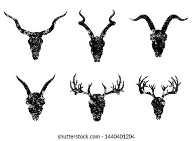 Vector set of six hand drawn skulls of horned animals:  antelopes, deer and goats on white background. Black silhouettes with grunge texture in old sketch and vintage style.