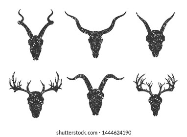 Vector set of six hand drawn skulls of horned animals:  antelopes, deer and goats on white background. Black silhouettes with grunge texture in old sketch and vintage style.