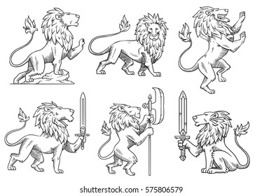 Vector set of six images of heraldic lions with big manes in different poses on a white background. Coat of arms, heraldry, emblem, symbol. Made in monochrome style. Vector illustration.