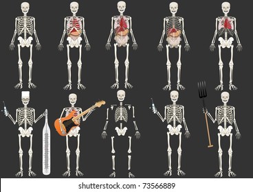 Vector set  the Skeleton of the person