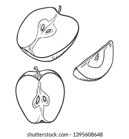 Vector Set of Sketch Apple Cut Pieces