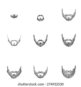 Vector Set of Sketch Beards. Types of Beards