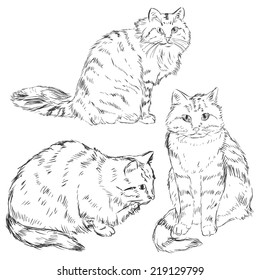 Vector Set of Sketch Cats