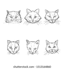 Vector Set of Sketch Cats Faces. Feline Portraits.